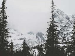 Philips HeartStart XL+