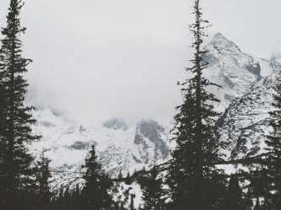 Philips HeartStart XL+