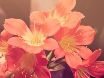 User submitted image of issue